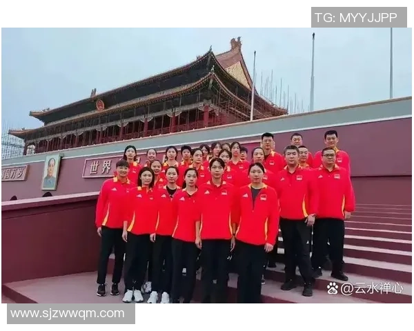 杭州排球队状态对比深度解析与未来展望